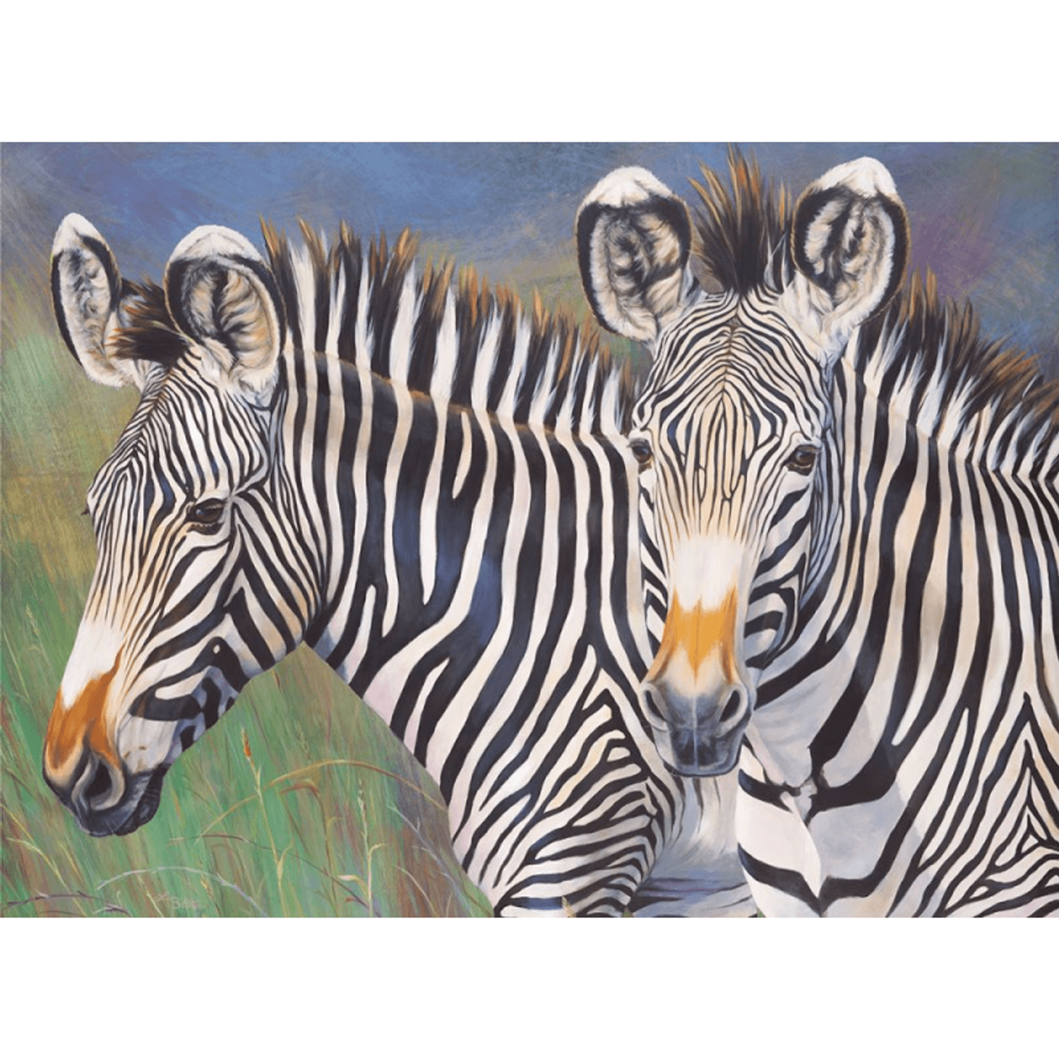 Prima pictura pe numere junior mare Zebrele lui Grevy fotografia produsului
