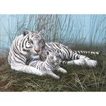 Pictura pe numere juniori - Tigri albi fotografia produsului
