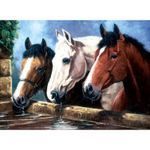 Pictura pe numere juniori - Trio fotografia produsului