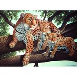 Pictura pe numere juniori - Leopard african fotografia produsului