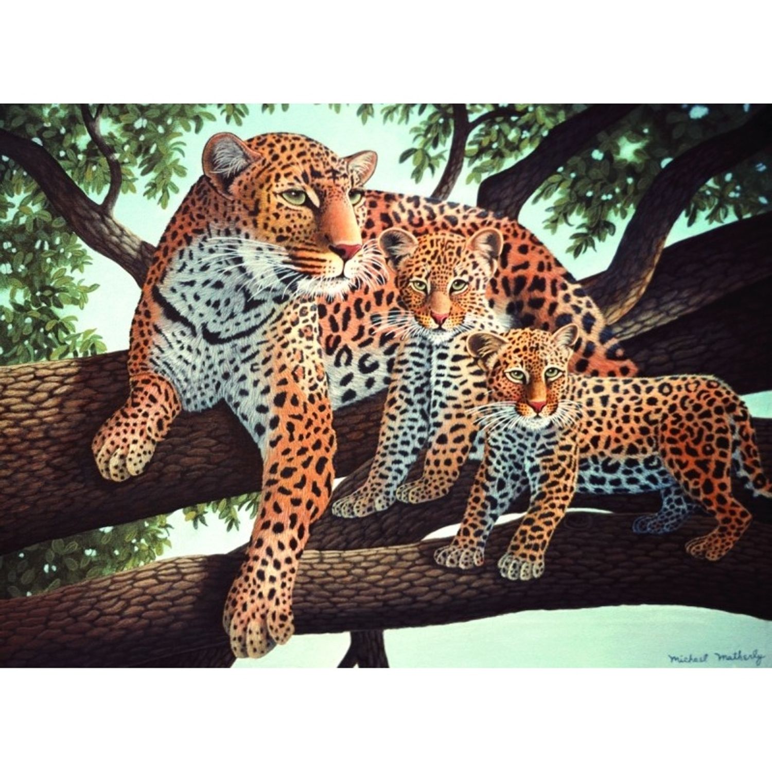 Pictura pe numere juniori - Leopard african fotografia produsului