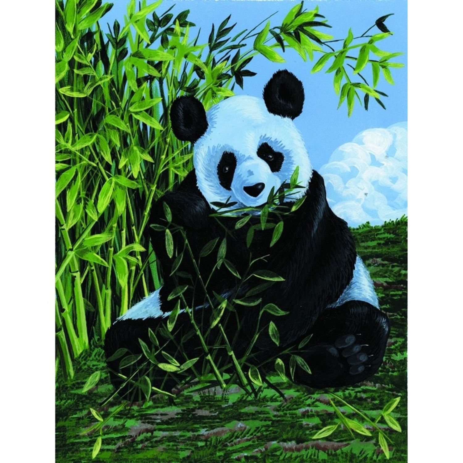 Pictura pe panza  - Panda fotografia produsului View 2 L