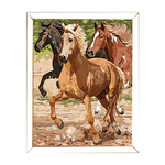 Pictura pe numere master Cal in galop fotografia produsului View 2 S