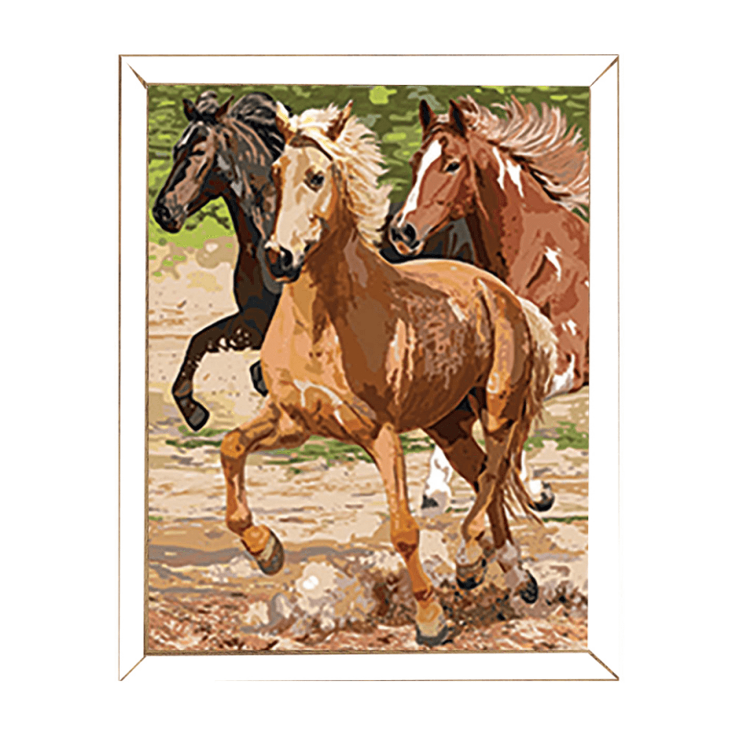 Pictura pe numere master Cal in galop fotografia produsului View 2 L