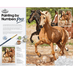 Pictura pe numere master Cal in galop fotografia produsului