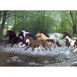 Pictura creativa pe numere avansati - Spirit liber fotografia produsului