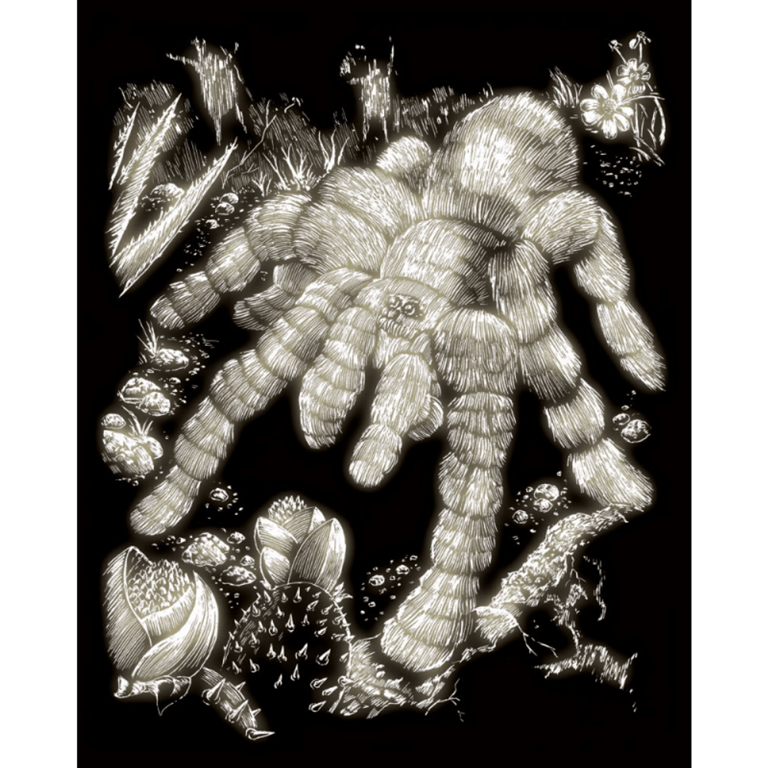 Set gravura pe folie fosforescenta Tarantula fotografia produsului