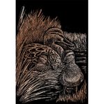 Set gravura pe folie din cupru - Rate fotografia produsului