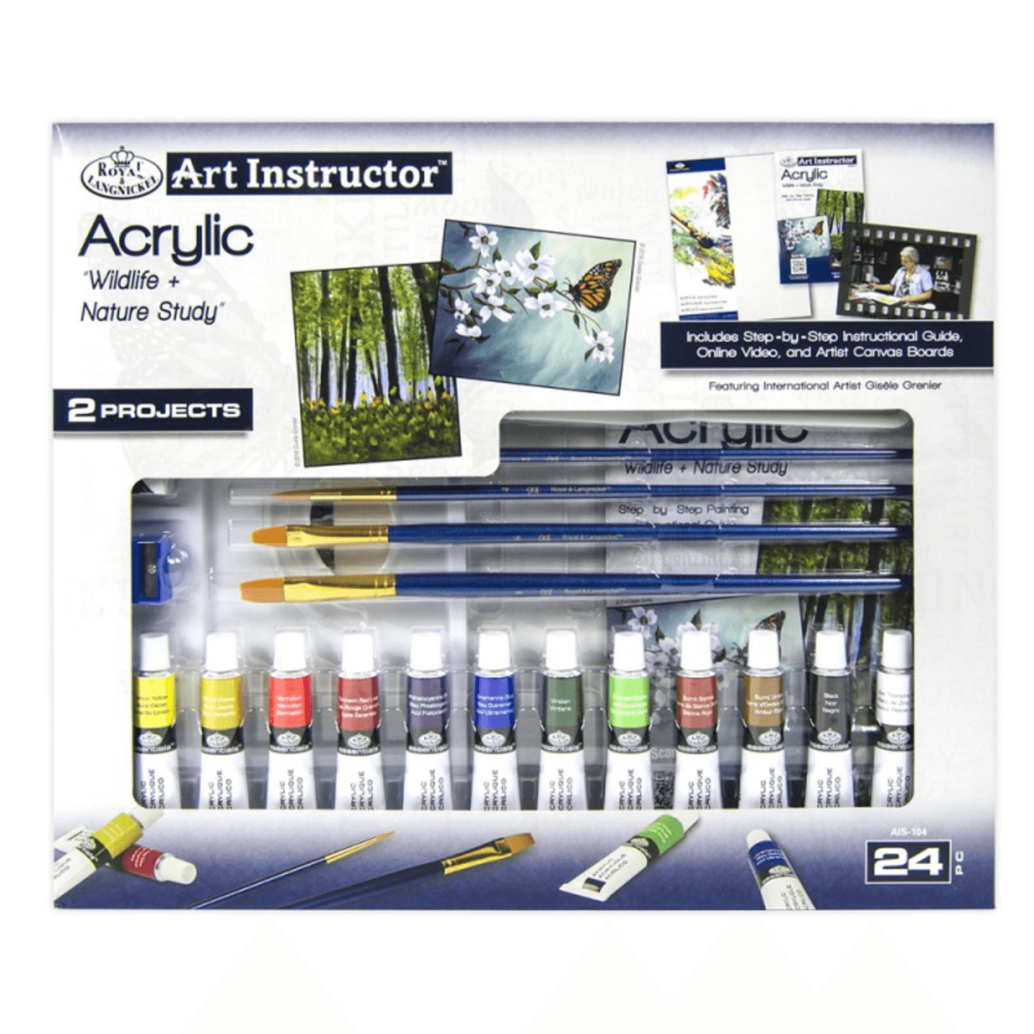 Set acrilic Studiu asupra vietii si naturii 24 piese fotografia produsului