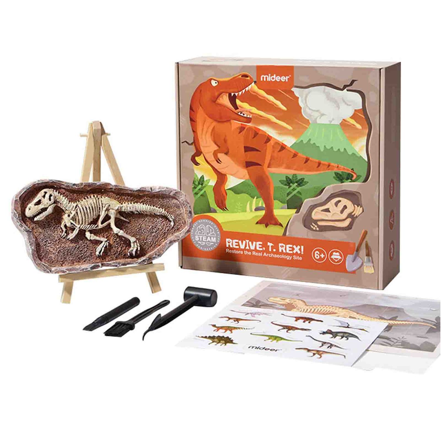 Set de explorare pentru copii, Dinozauri, Piatra arheologica, T-Rex fotografia produsului