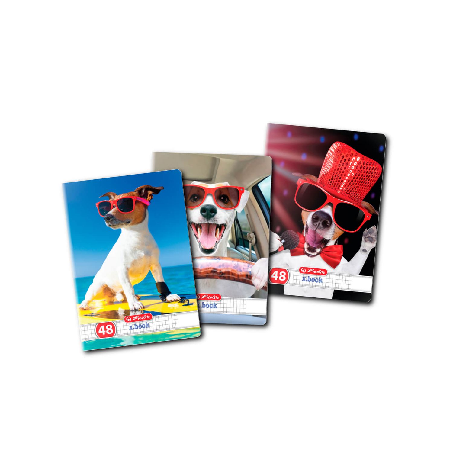 Caiet format A5, 48 file matematica, cool dog 2 fotografia produsului View 2 L
