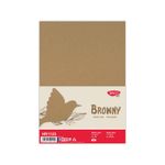 Hartie natur, 25 coli, 110gr/mp, format A4 fotografia produsului