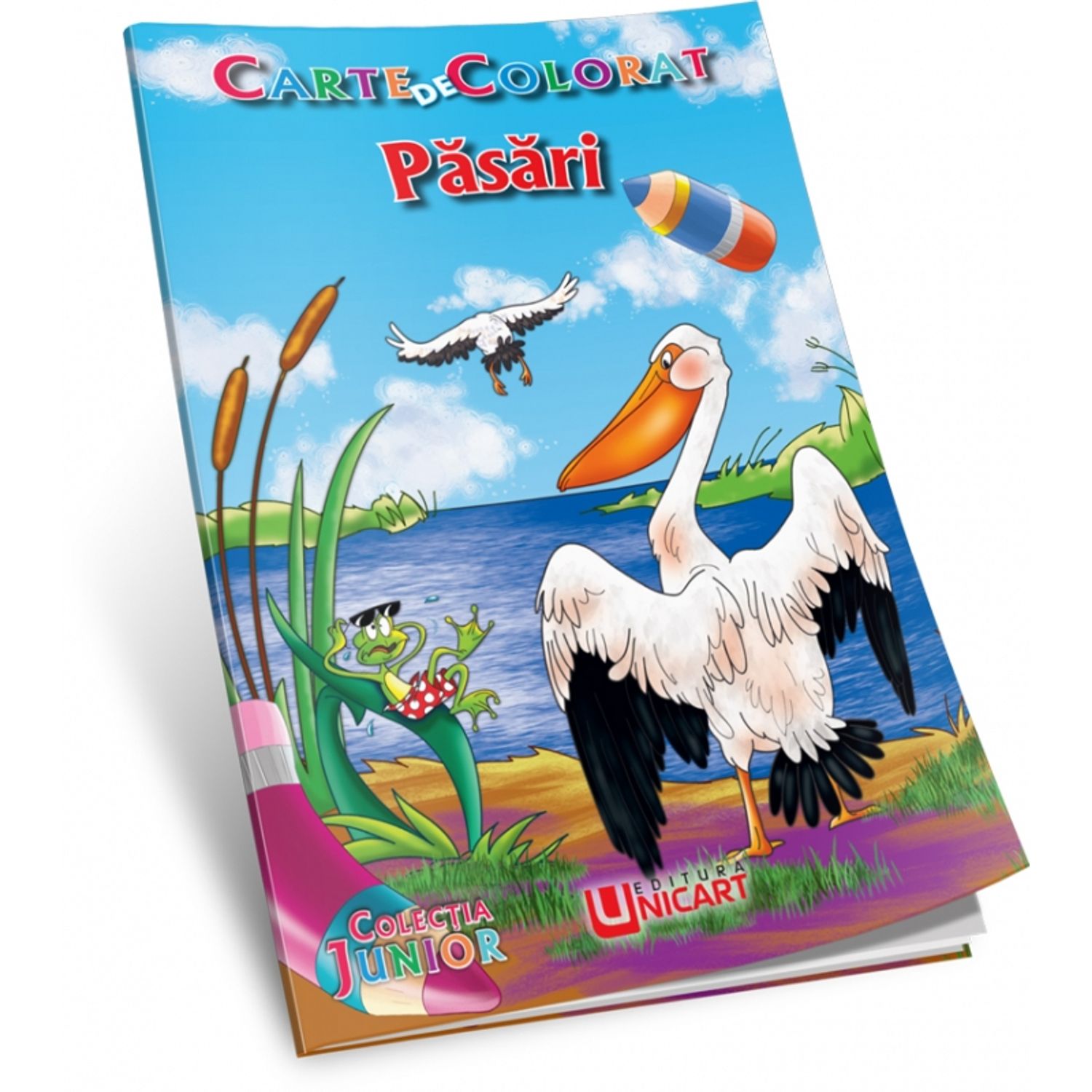 Carte de colorat pasari b5 fotografia produsului