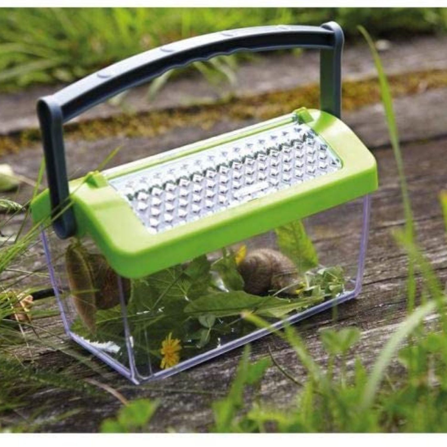 Cutie pentru insecte, Haba Terra Kids fotografia produsului View 2 L
