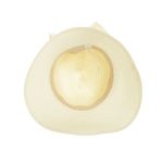 Palarie de paie pentru dama, PAMI, PD-0223-202-crem, 56 cm, Crem fotografia produsului View 5 S
