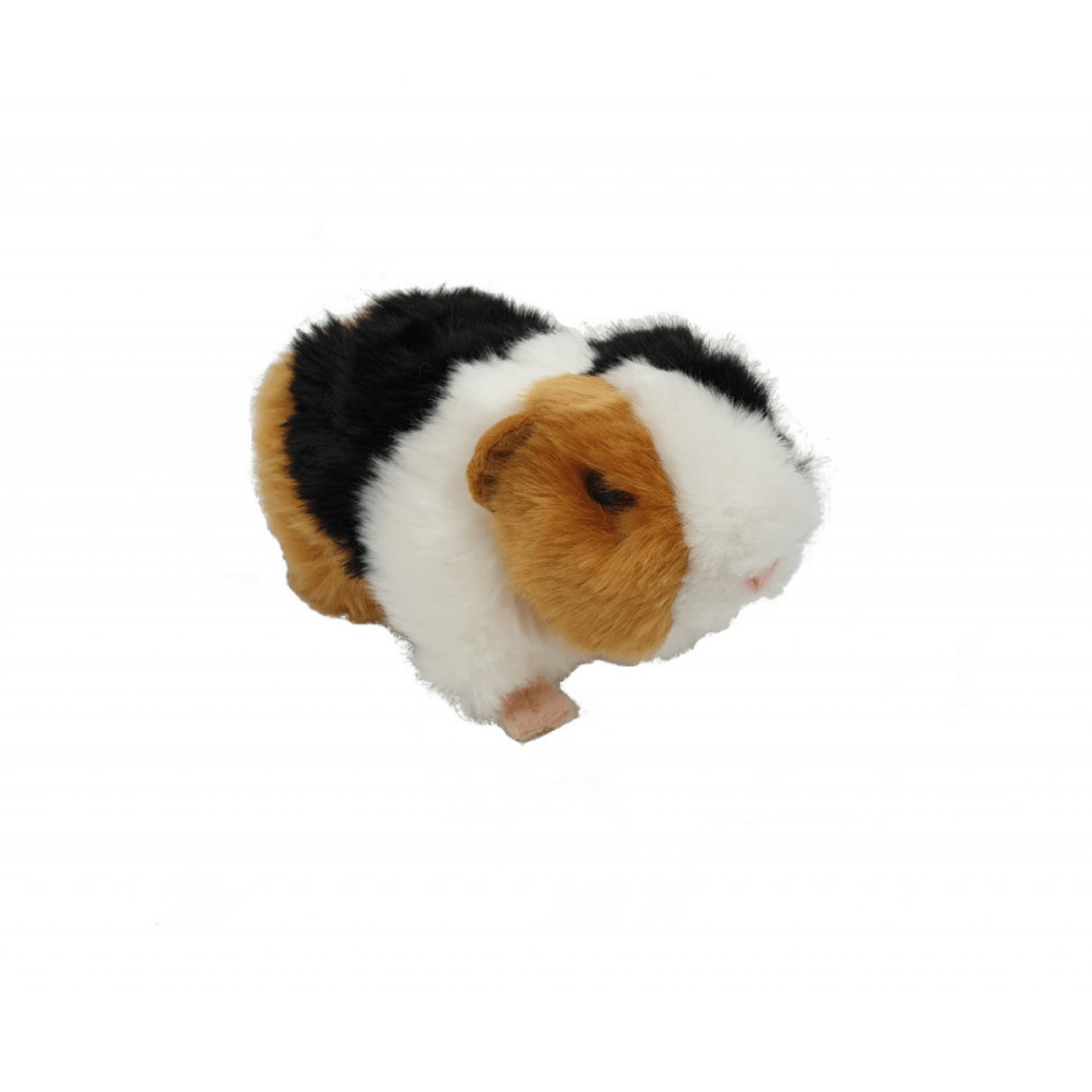 Porcusor de Guineea jucarie din plus 20 cm fotografia produsului