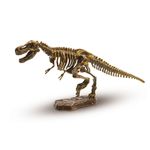 Set educativ Explore descopera scheletul unui Tiranozaur Rex fotografia produsului View 5 S