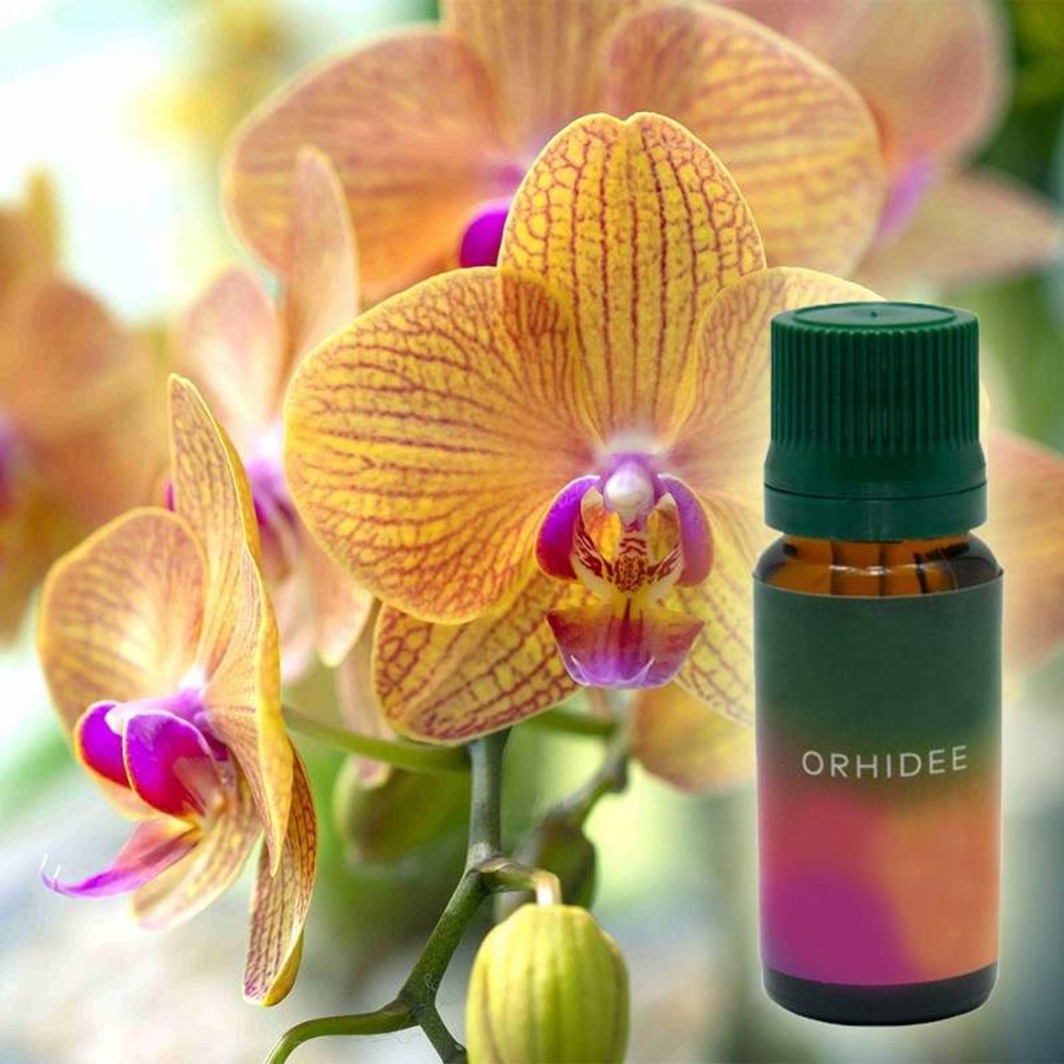 Ulei Aromaterapie Parfumat SIKS cu Aroma de Orhidee, 10 ml fotografia produsului View 4 L