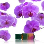 Ulei Aromaterapie Parfumat SIKS cu Aroma de Orhidee, 10 ml fotografia produsului View 5 S