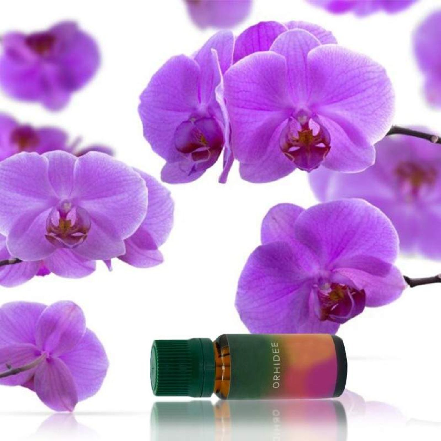 Ulei Aromaterapie Parfumat SIKS cu Aroma de Orhidee, 10 ml fotografia produsului View 5 L