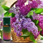 Ulei aromaterapie parfumat SIKS cu aroma de Liliac, 10 ml fotografia produsului View 2 S