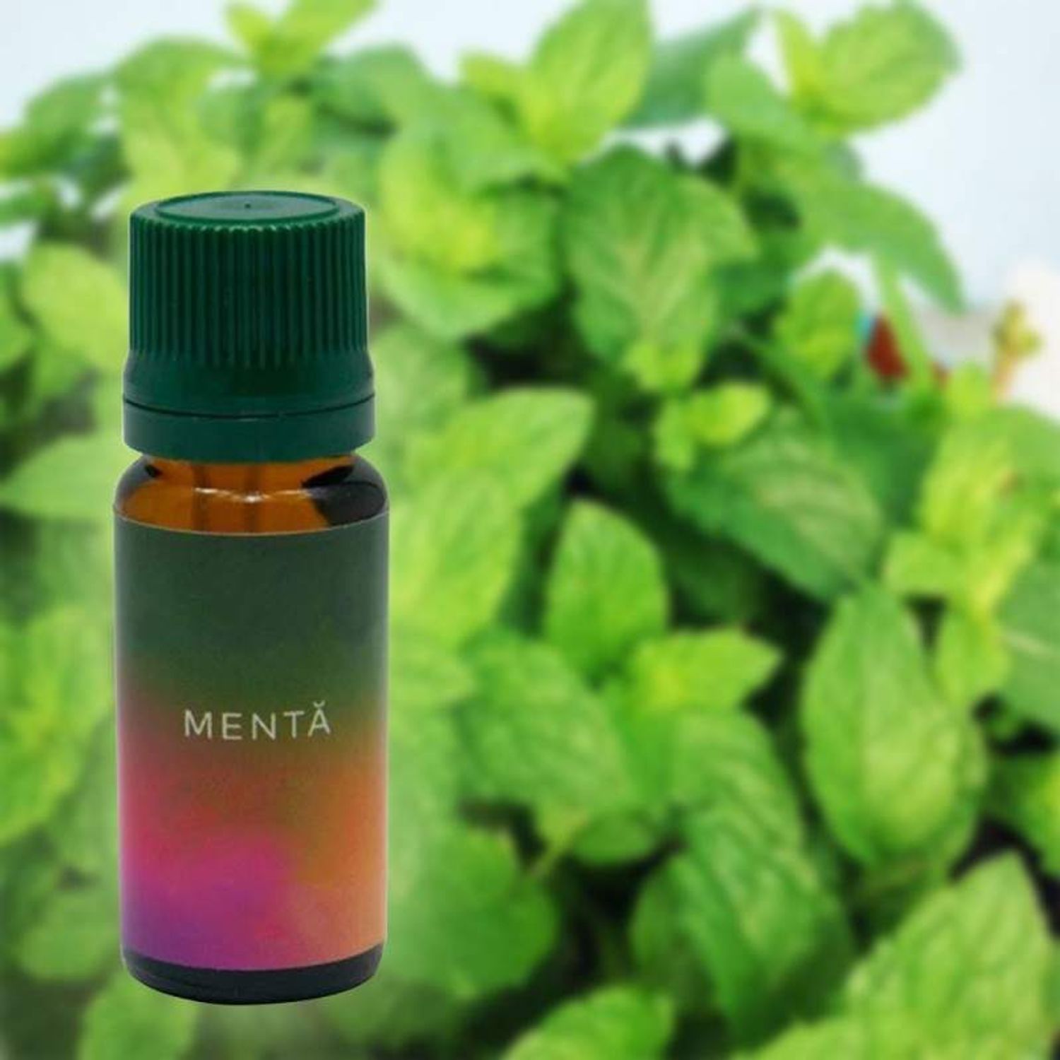 Ulei aromaterapie parfumat SIKS cu aroma de menta, 10 ml fotografia produsului View 2 L