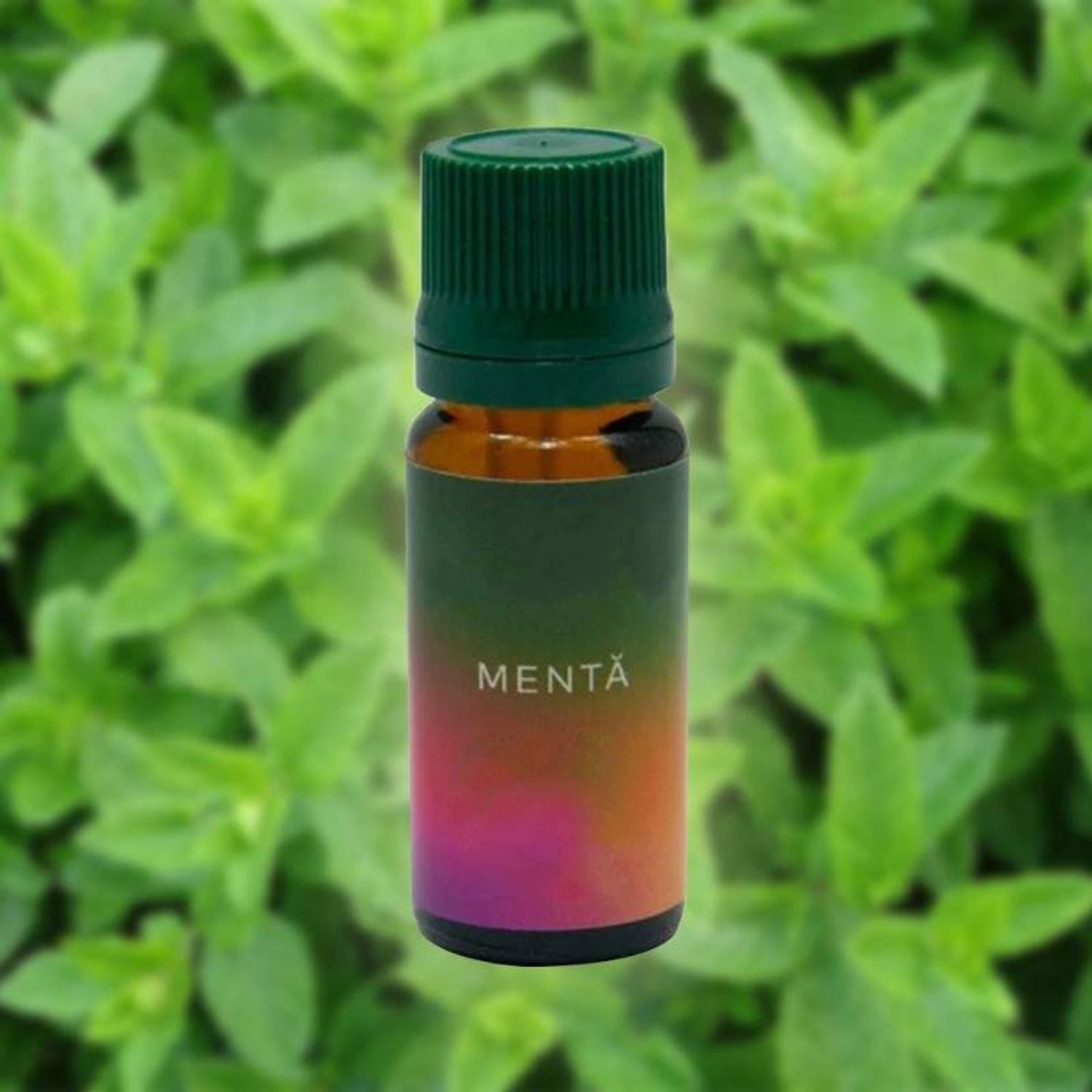 Ulei aromaterapie parfumat SIKS cu aroma de menta, 10 ml fotografia produsului View 3 L