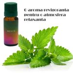 Ulei aromaterapie parfumat SIKS cu aroma de menta, 10 ml fotografia produsului View 4 S