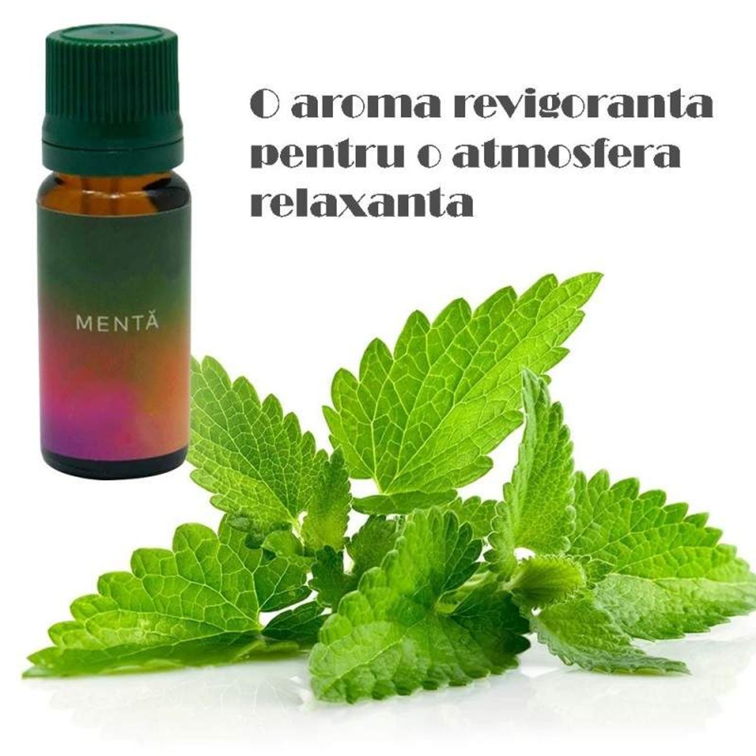 Ulei aromaterapie parfumat SIKS cu aroma de menta, 10 ml fotografia produsului View 4 L