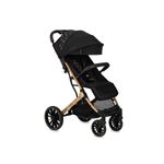 Carucior sport Estelle Dakar, Momi, Ginko fotografia produsului