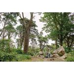 Carucior, Greentom, Classic Upp, 100% Ecologic, Black Mint fotografia produsului View 6 S