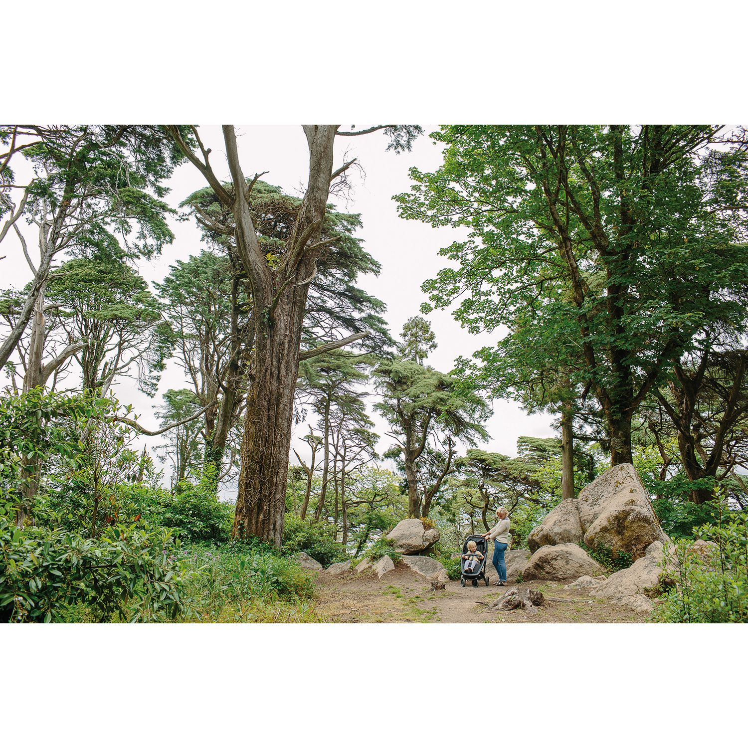 Carucior, Greentom, Classic Upp, 100% Ecologic, Black Mint fotografia produsului View 6 L