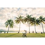 Carucior 2 in 1, Greentom, 100% Ecologic, White Olive fotografia produsului View 5 S