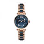 Ceas Dama, Gc - Guess Collection, LadyChic Y06009L7 fotografia produsului