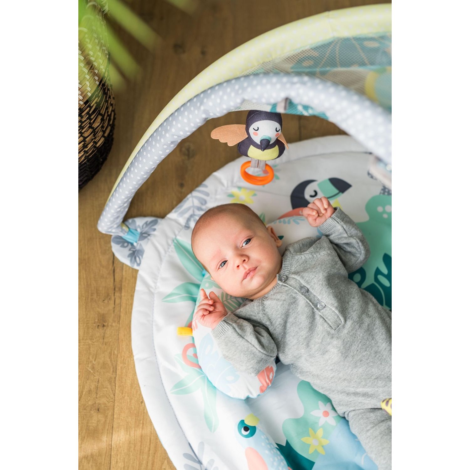 Centru de activitati Qkids, Jungle fotografia produsului View 6 L