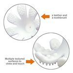 INEL GINGIVAL DIN SILICON, MOMBELLA - OCTOPUS ORANGE fotografia produsului View 5 S