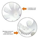 INEL GINGIVAL DIN SILICON, MOMBELLA - OCTOPUS GREY fotografia produsului View 3 S