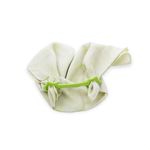 Set Swaddle si suport de prindere baveta, eKoala, Green fotografia produsului View 3 S