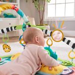 Fisher Price Salteluta 3 In 1 fotografia produsului View 6 S