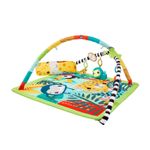 Fisher Price Salteluta 3 In 1 fotografia produsului View 4 S