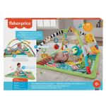 Fisher Price Salteluta 3 In 1 fotografia produsului