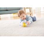 Fisher Price Ratusca In Minge Transparenta fotografia produsului View 5 S