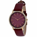 Ceas Dama, Timex, Metropolitan Starlight TW2R51100 fotografia produsului View 4 S