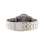 Ceas Dama, Casio, Collection LTP-13 LTP-1314SG-1A fotografia produsului View 4 S