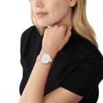 Ceas Dama, Michael Kors, Parker MK4695 fotografia produsului View 3 S