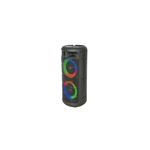 Boxa Portabila 2 x 4 inch, Conectivitate Bluetooth, USB, Aux, Micro Sd, 200 W, Party fotografia produsului View 3 S