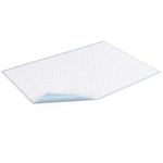 Aleze / Protectii pentru pat TENA Bed Normal, 60 x 60 cm, 5 buc fotografia produsului View 2 S