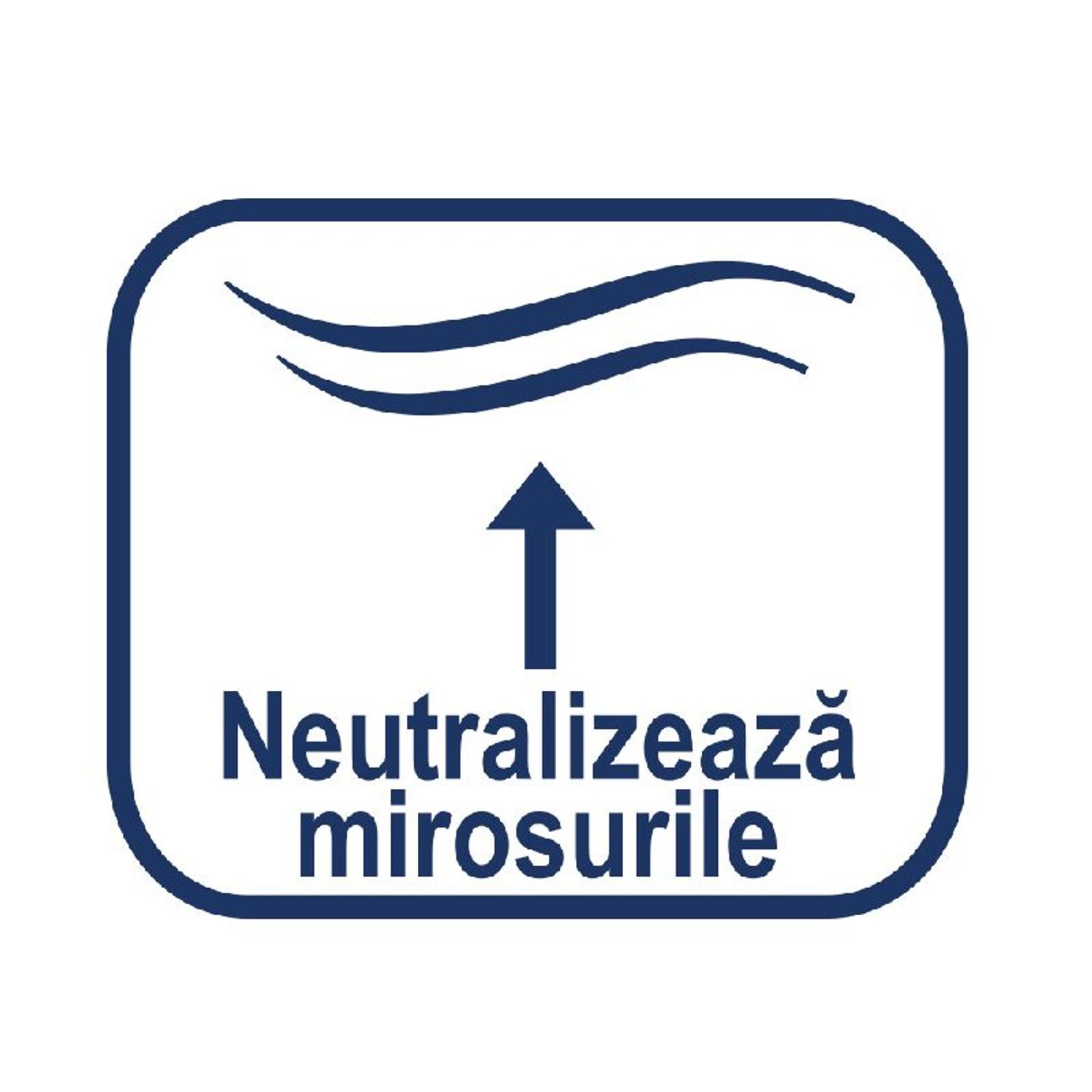 31ec1391-59d3-40aa-984e-674206291604 фото продукта View 2 L