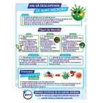Dezinfectant Universal, Igienol, Multisuprafete Blue Fresh, 1L fotografia produsului View 5 S