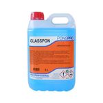 Detergent Geam Antiaburire Asevi 5L fotografia produsului